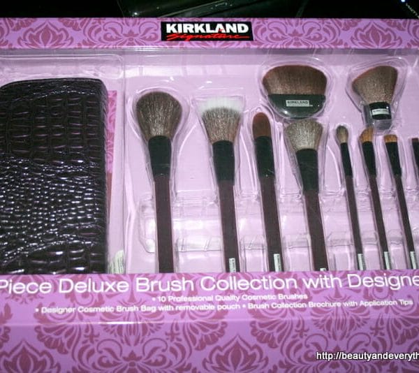 Kirkland signature 10 peice brush collection with Designer bag