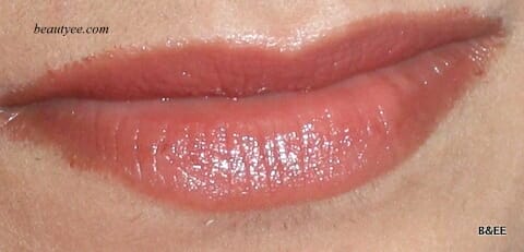MAC Huggable Lipcolour Rich Marron