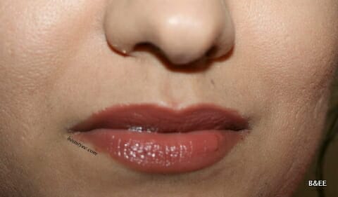 MAC Huggable Lipcolour Rich Marron